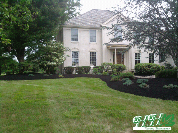 Yard renovation