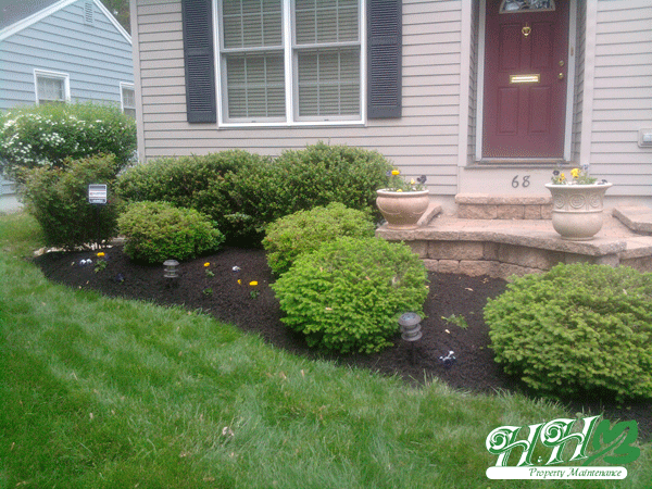 Property care project